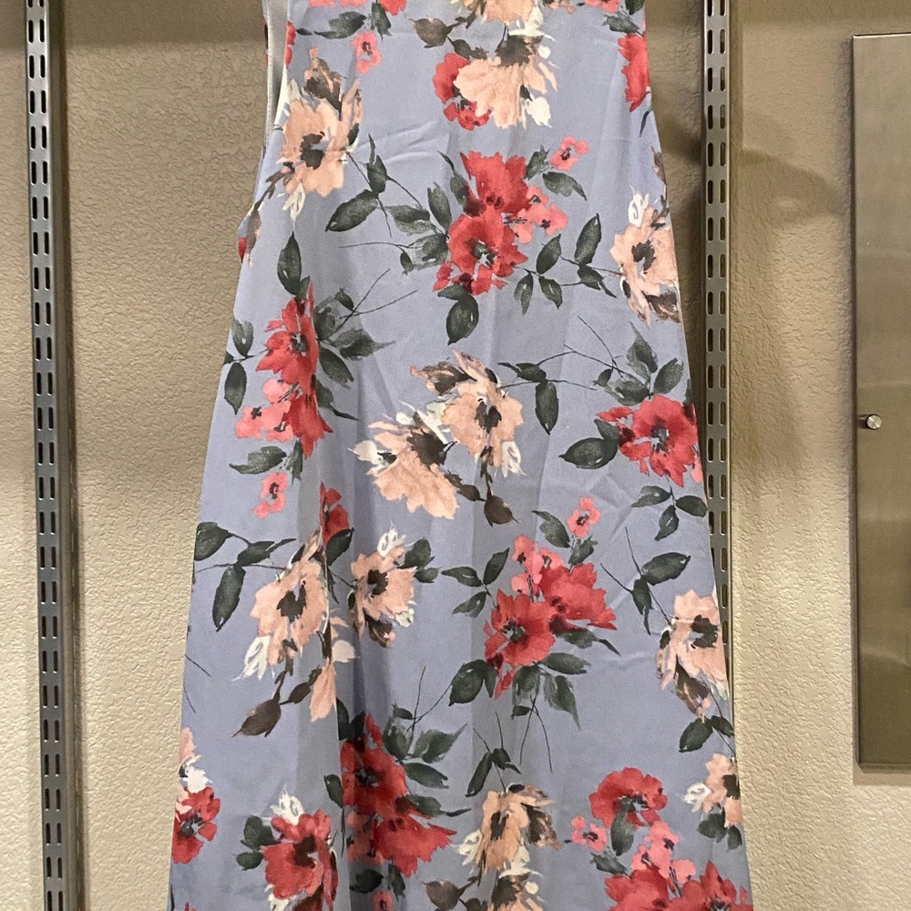 Dainty Hooligan Floral Elegance Dress